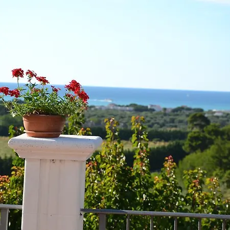 Marilena * 페스키치